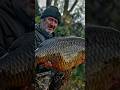 896 🏴 30lb and 40lb Carp! 😮Steve renyard #carp #carpfishing #podcast #fishing