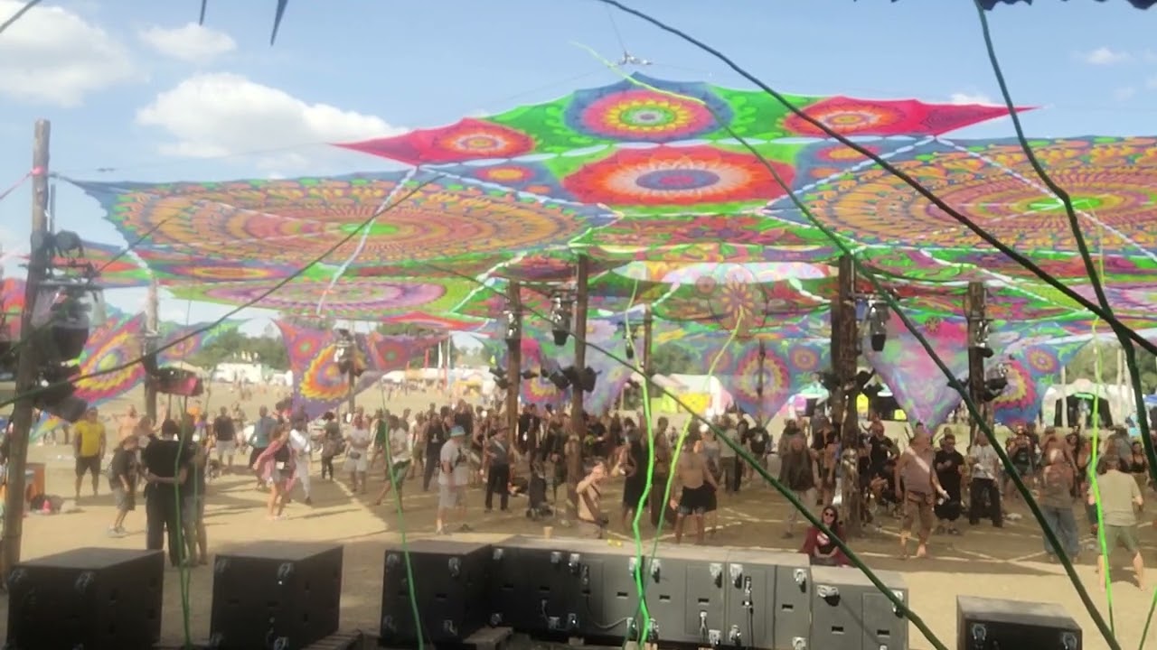 Evolution - Tree of Life Festival 2022