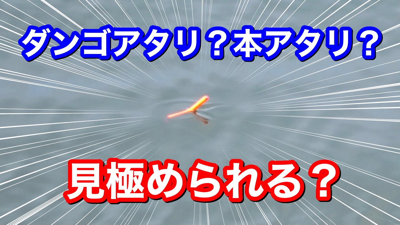 紀州釣り ダンゴ釣り 専用 黒鯛 1本 ウロキキ寝うき レギュラー 2jyr0