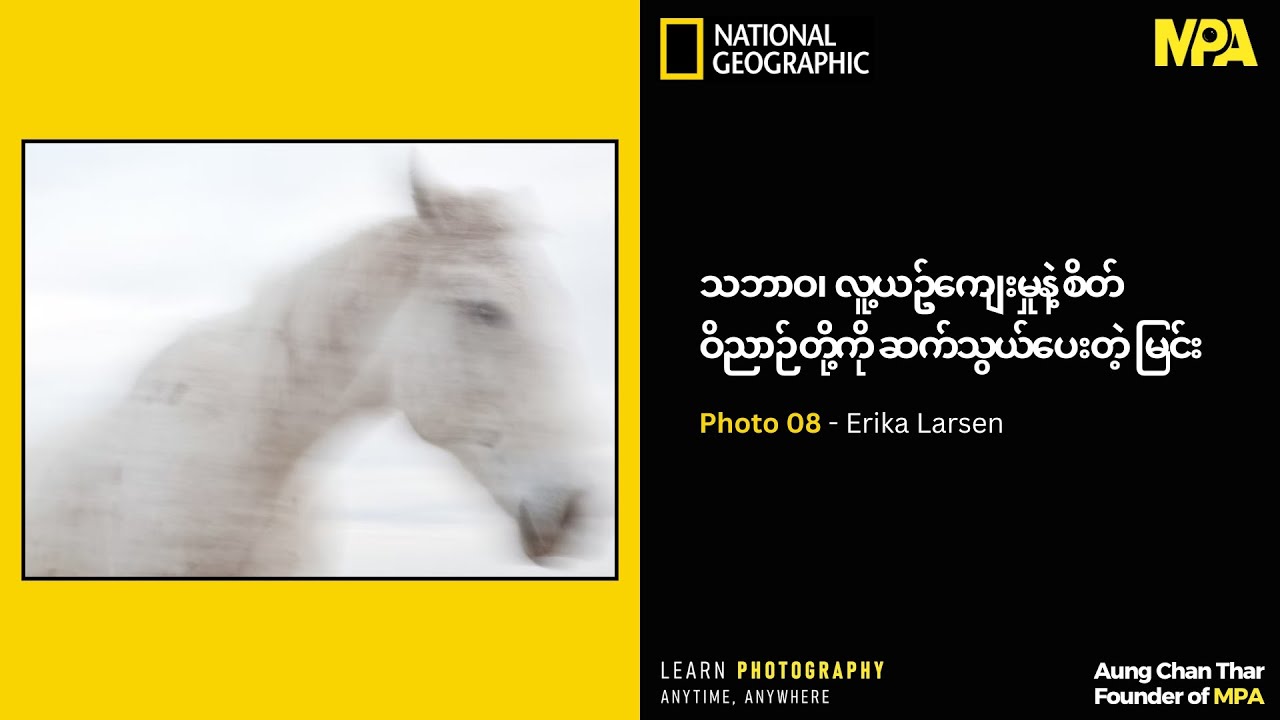 သဘာဝ၊ လူ့ယဥ်ကျေးမှုးနဲ့ စိတ်ဝိဉာဥ်တို့ကို ဆက်သွယ်ပေးတဲ့ မြင်း 📸