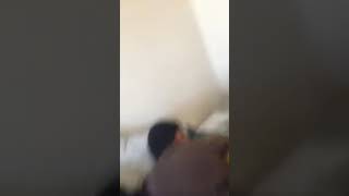 Funniest Video Ever Brother Got Ahold Of Clippers. Oops. But His Sister Is A ...Mean Girl