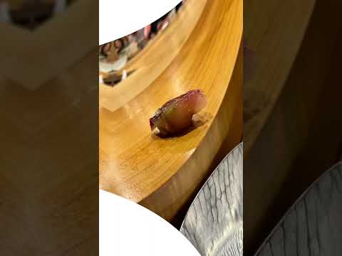 Sushi senpachi #japan