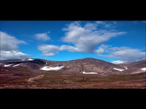 Золотоносность Чукотки и поиск месторождений золота и серебра. Читалин А.Ф. Институт геотехнологий