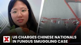 Two Chinese Citizens Accused of Illegally Importing Dangerous Pathogen into US | NewsX World