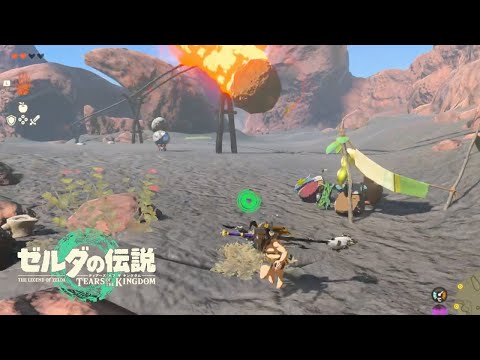 【ゼルダの伝説 ティアーズオブザキングダム】ボールをコログ達にシュー！！！！超エキサイティング！！！ #54【Vtuber】