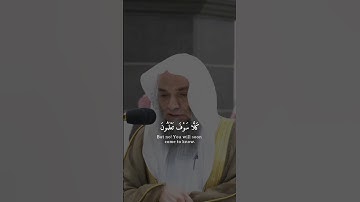 فضيلة الشيخ أ.د. فيصل غزاوي || حتى زرتم المقابر || سورة التكاثر