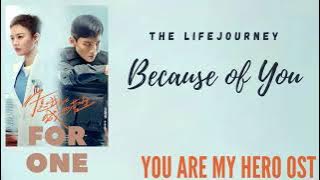 The Lifejourney – Because of You (You Are My Hero OST)