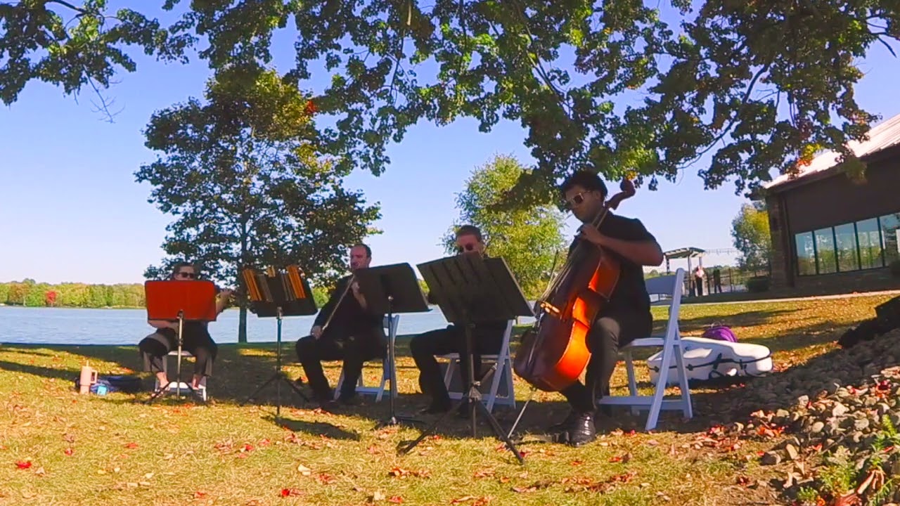 Turning Page by Sleeping at Last arr. Luke Campayno - Radiant Strings Quartet