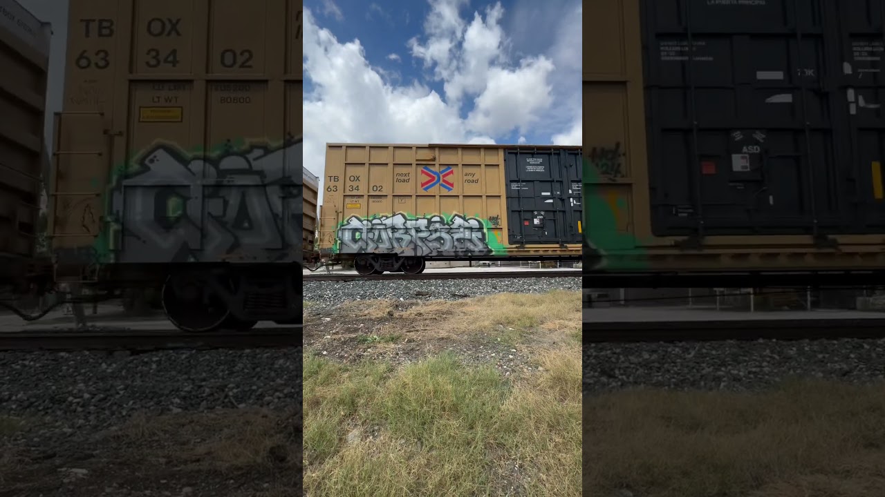 We Ride by Train- shorts