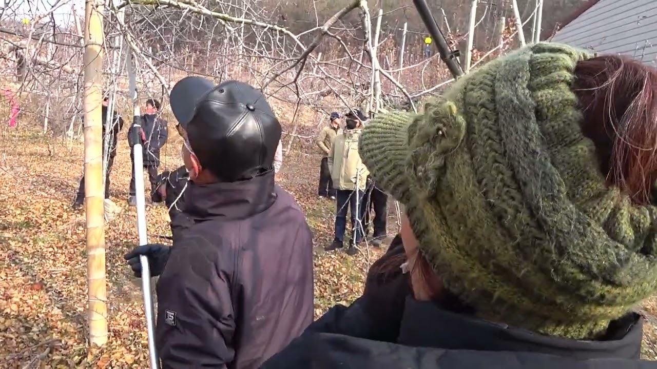 2025 01 22 M26 개심형 전정구로다