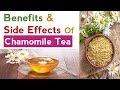 Benefits and Side Effects Of Chamomile Tea