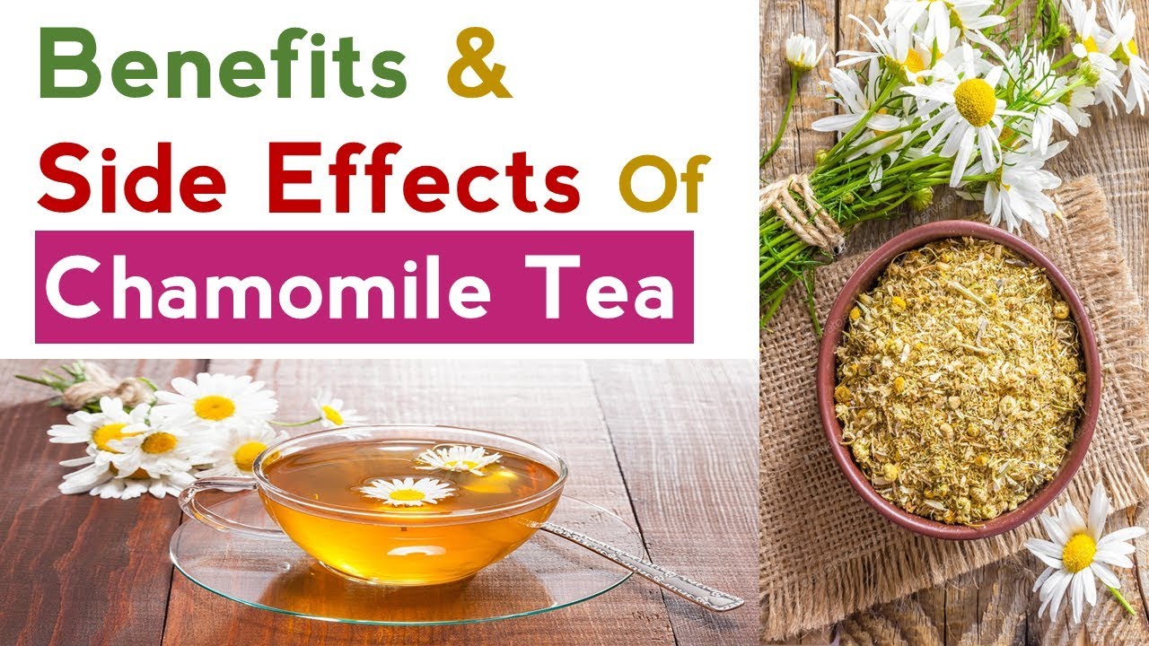 Benefits and Side Effects Of Chamomile Tea - YouTube
