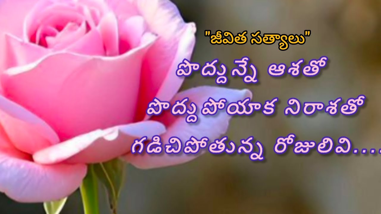 #@జీవిత సత్యాలు@#: పొద్దున్నే ఆశతో పొద్దు పోయాక నిరాశతో గడిచిపోతున్న రోజులు ఇవి*