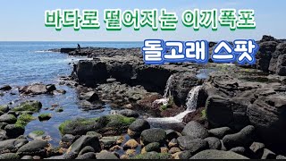 돌고래를 볼수 있는 바다폭포 | 나만의 출사지 | 숨은명소 최초공개 | 돌고래 스팟 | 이끼폭포 |