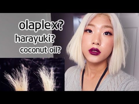 Dead Hair Experiment Olaplex Vs Harayuki Vs Diy Coconut Oil - Which Is The Best!!