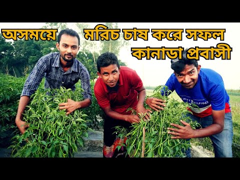 ভিডিও: সাস্কাটুনে কি বীজ থাকে?