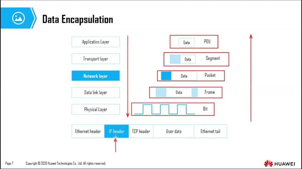 Topic 4 Network Layer Protocols And Ip Addressing