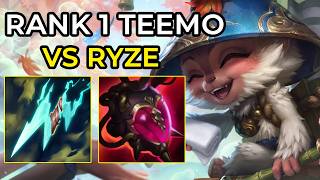 LEC TOPLANER GETS THE TEEMO TOP EXPERIENCE...