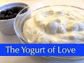 Health Enhancer L.Reuteri Yoghurt - Wellness By Rosh