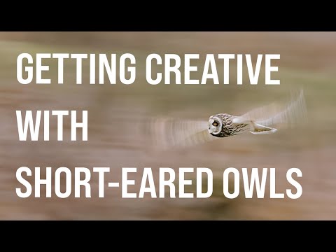 How to PHOTOGRAPH in "BAD LIGHT" & The Ethics of Location Sharing - OM System OM-1
