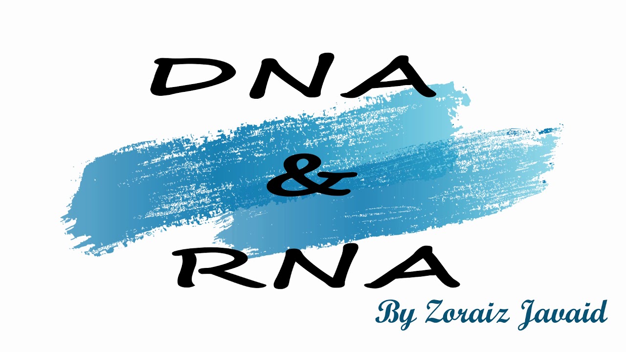 Science GED Unit 2 Life Science Science Lesson 6 Modern YouTube