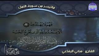 ما تيسر من سورة { النــمــل } ⭐ للصوت الخاشع الرائع ⭐هاني الرفاعي | من مختارات المجد HD