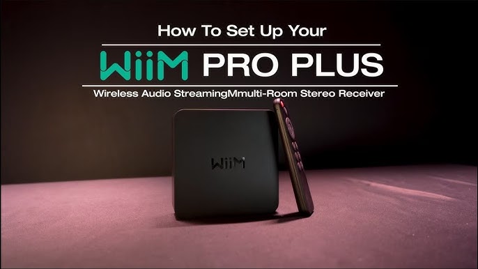 Inputs, Outputs, Controls, and Functions on Your WIIM PRO PLUS