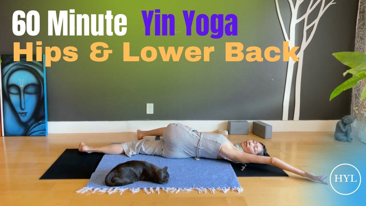 60 Minutes Yin Yoga | Hips and Lower Back | Meditate on Karma - YouTube