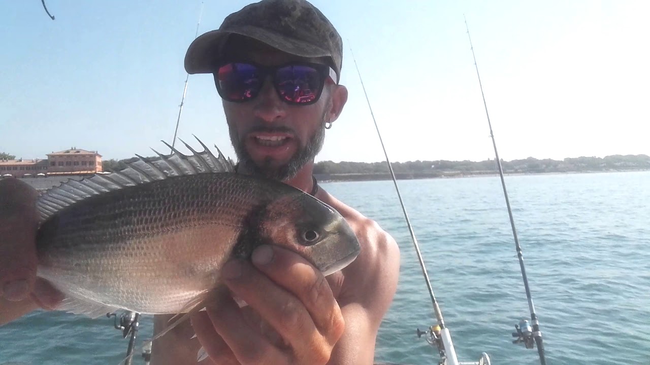 Pesca a orate dalla barca...il cannolicchio oggi era squisito!! YouTube Pesca a orate dalla barca...il cannolicchio oggi era squisito!! YouTube