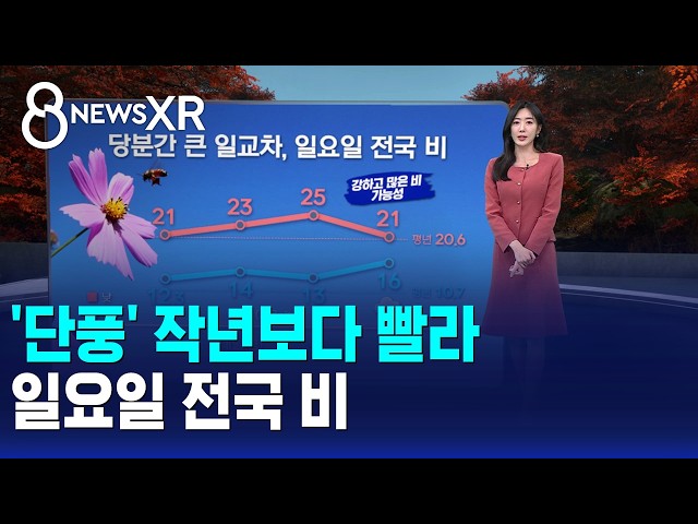 [날씨/XR] '단풍' 작년보다 빨라..일요일 전국 비 / SBS 8뉴스