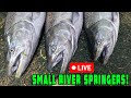 Small river spring salmon fishing floats hovering  more