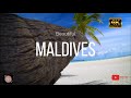 Maldives  nature  4k