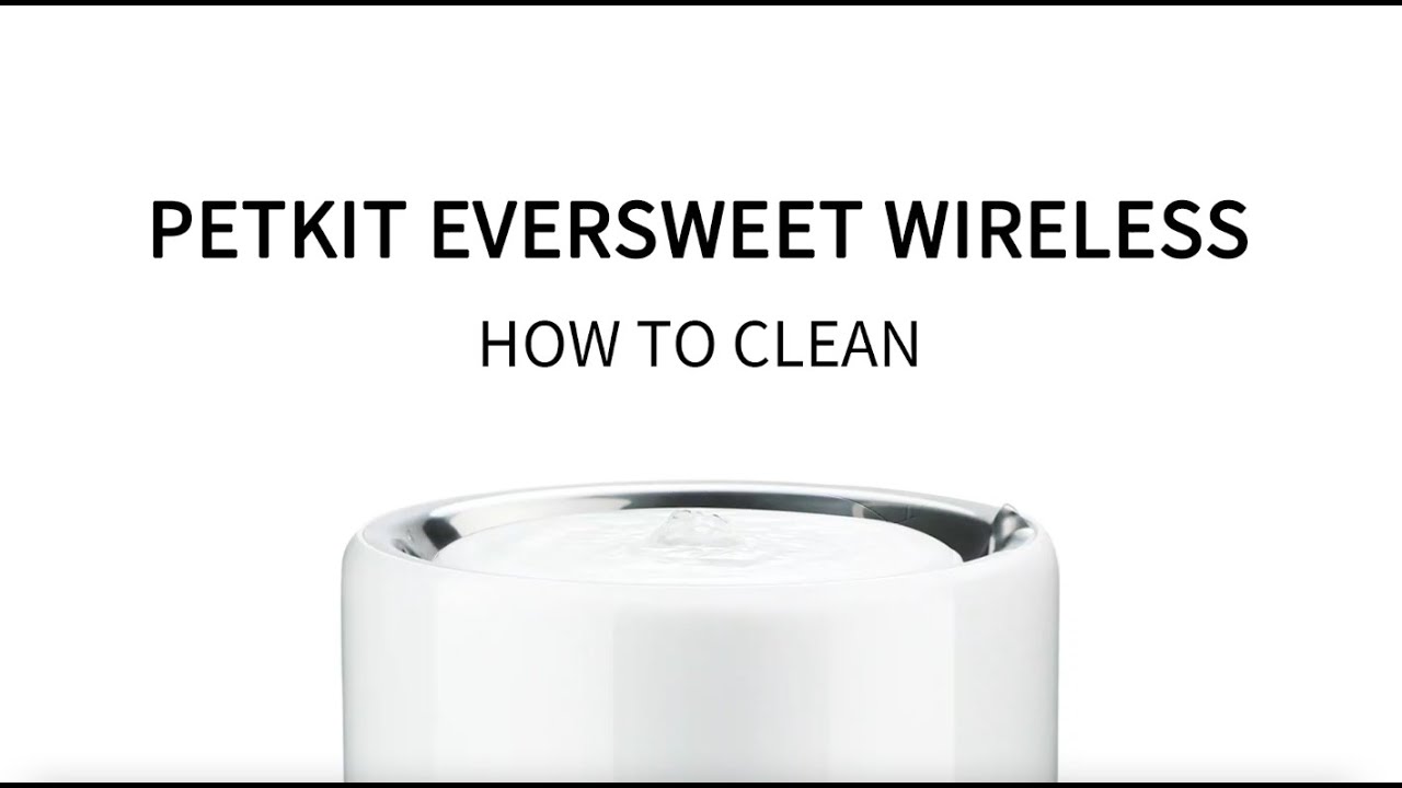 How to clean PETKIT Eversweet 3 Pro Smart Drinking Fountain YouTube