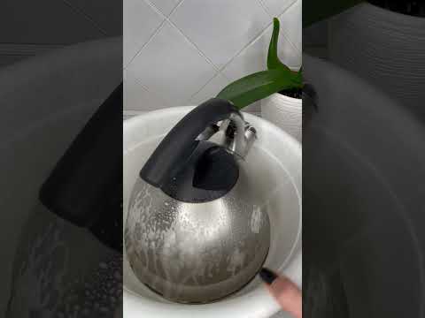 Как отмыть чайник