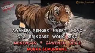 Jangan bangunkan macan tidur