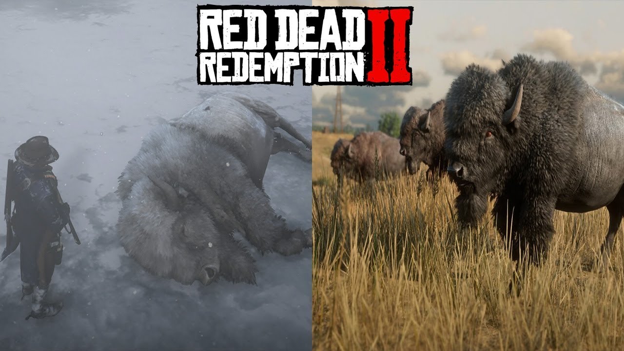 RED DEAD REDEMPTION 2 | BISONTE BLANCO LEGENDARIO | UBICACIÓN Y CAZA ...