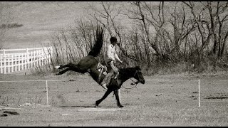Understanding the Bucking Horse! (A Discussion)