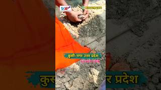 Silver🥈 coins found🕵️ in the field ( Farm ) 🏜️ #viral #silvercoins #shortvideo