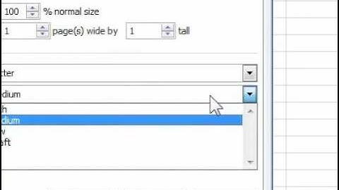 How to set the print quality in Excel
