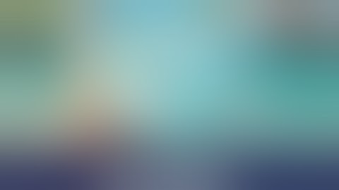 Shark Attack Wild Simulator (by Integer Games) Android Gameplay [HD]