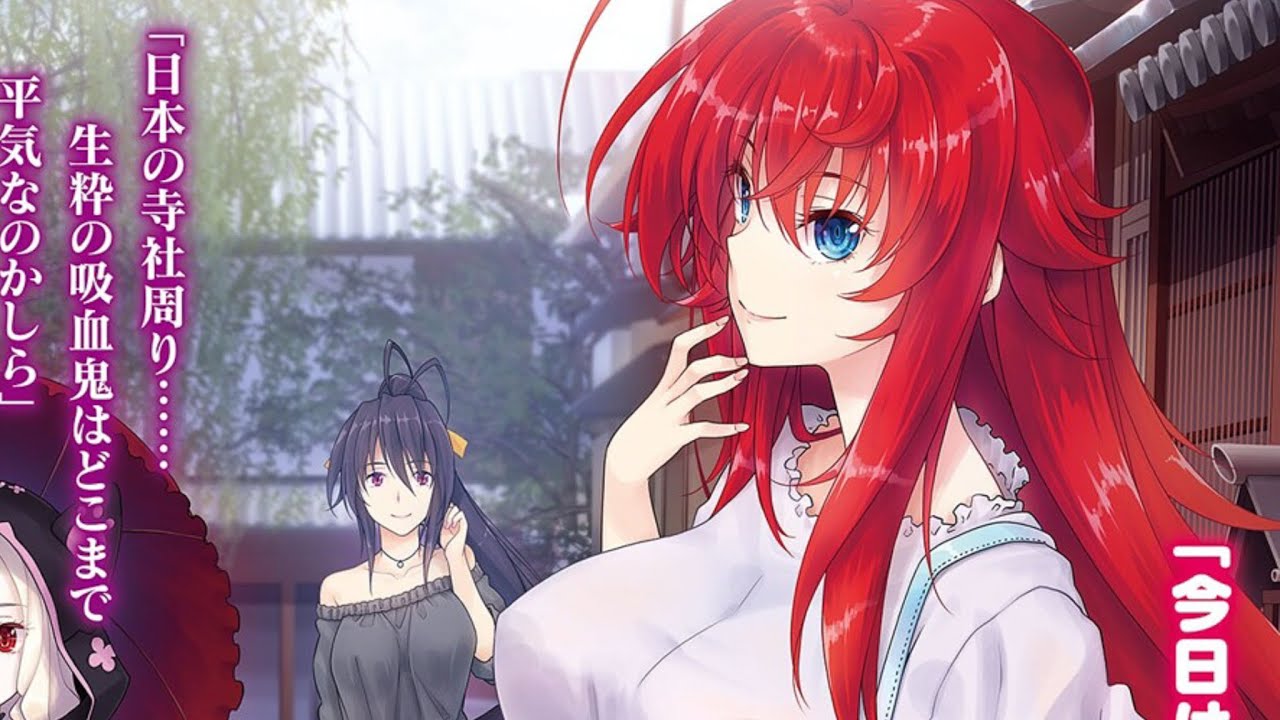 high school dxd operation paradise infinity