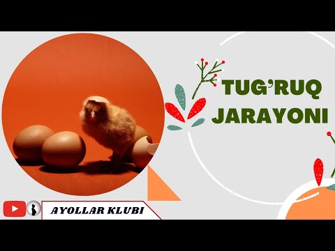 Tornavida bilan ozimni sikdim