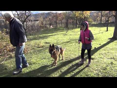 Godzo \u0026 Salome  *** გოძო პაპა და სალომე,  მამულს ათვალიერებენ