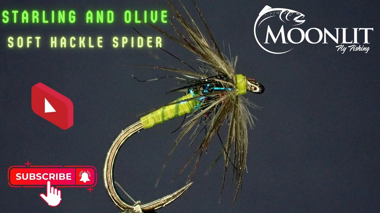 Mastering the Starling & Olive Soft Hackle Spider || Irresistible Fly Tying Techniques for Trout