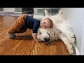 When dog and his baby brother share every milestone together 