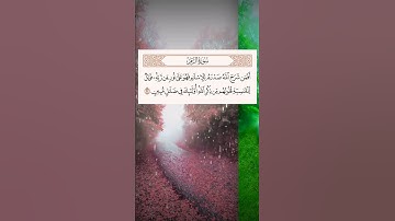 تلاوة خاشعة للقارئ الشيخ محمد اللحيدان سورة(الزمر) آية 22