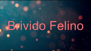 Brivido Felino - Mina&Adriano Celentano (Deutsch Übersetzung - Lyrics) Resimi