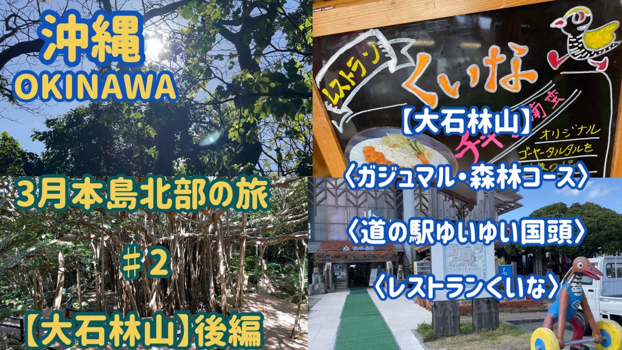 ３月本島北部の旅 ♯２　【大石林山】後編　〈ガジュマル・森林コース〉〈道の駅ゆいゆい国頭〉〈レストランくいな〉