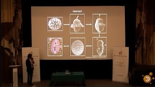 Famous Andreas Wanninger. Evolutionary Developmental Morphology in the 21st Century Profile
