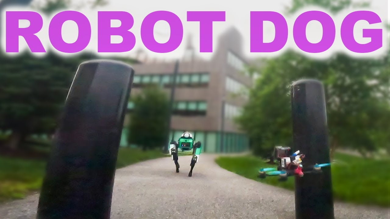 Robot Dog Security? FPV Vlog